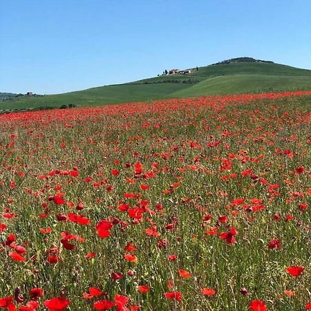 Agriturismo Poggio Tobruk Pienza Eksteriør billede