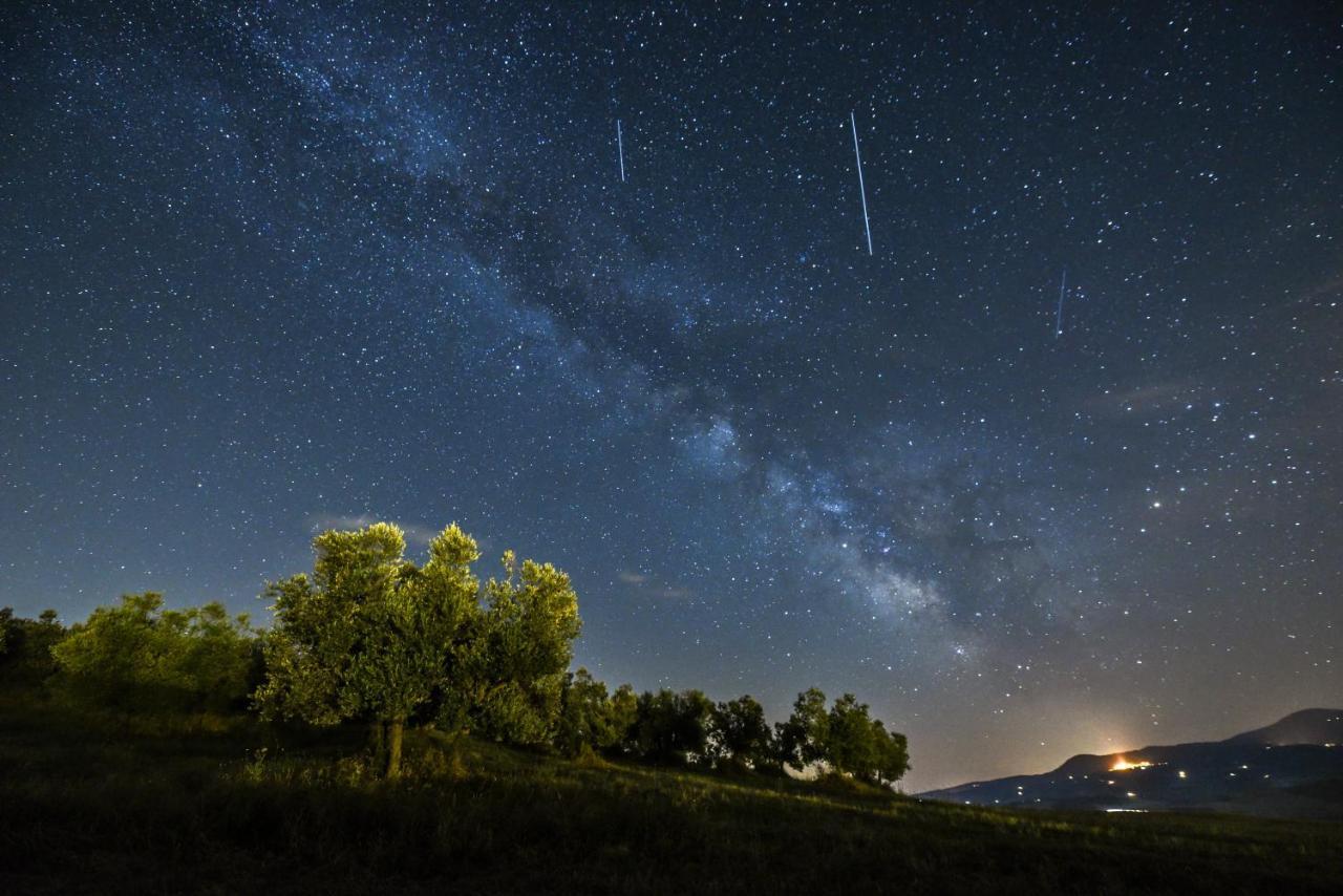 Agriturismo Poggio Tobruk Pienza Eksteriør billede