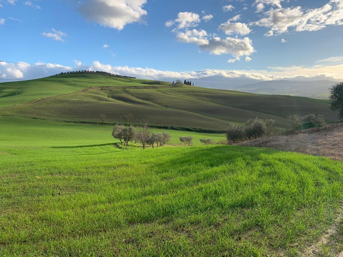 Agriturismo Poggio Tobruk Pienza Eksteriør billede