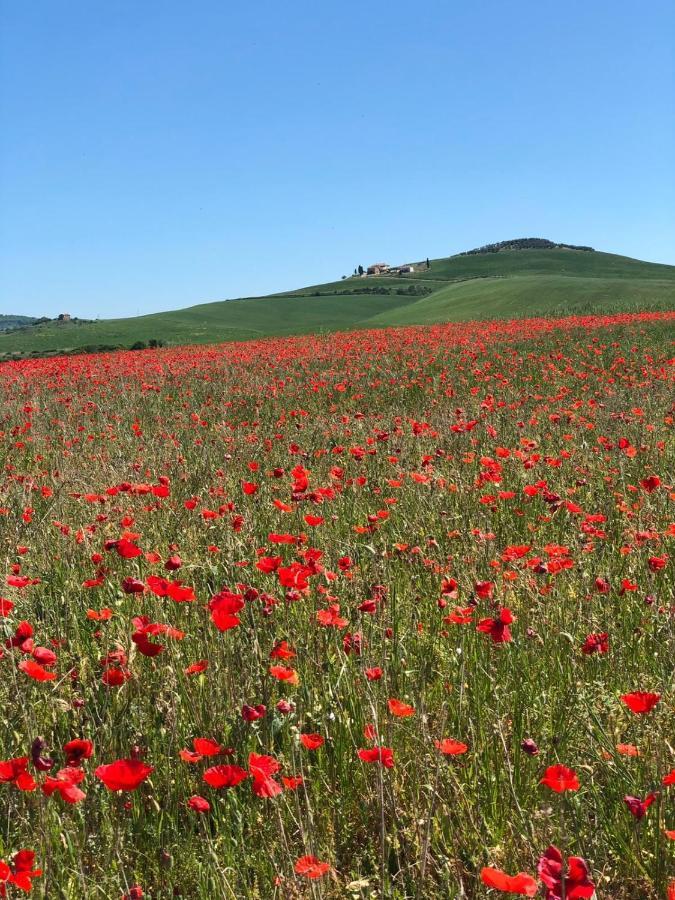 Agriturismo Poggio Tobruk Pienza Eksteriør billede
