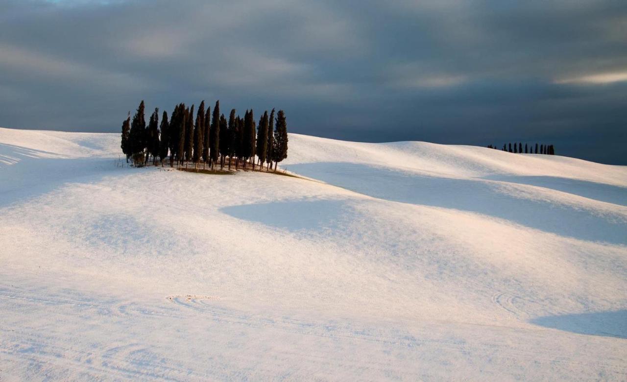 Agriturismo Poggio Tobruk Pienza Eksteriør billede