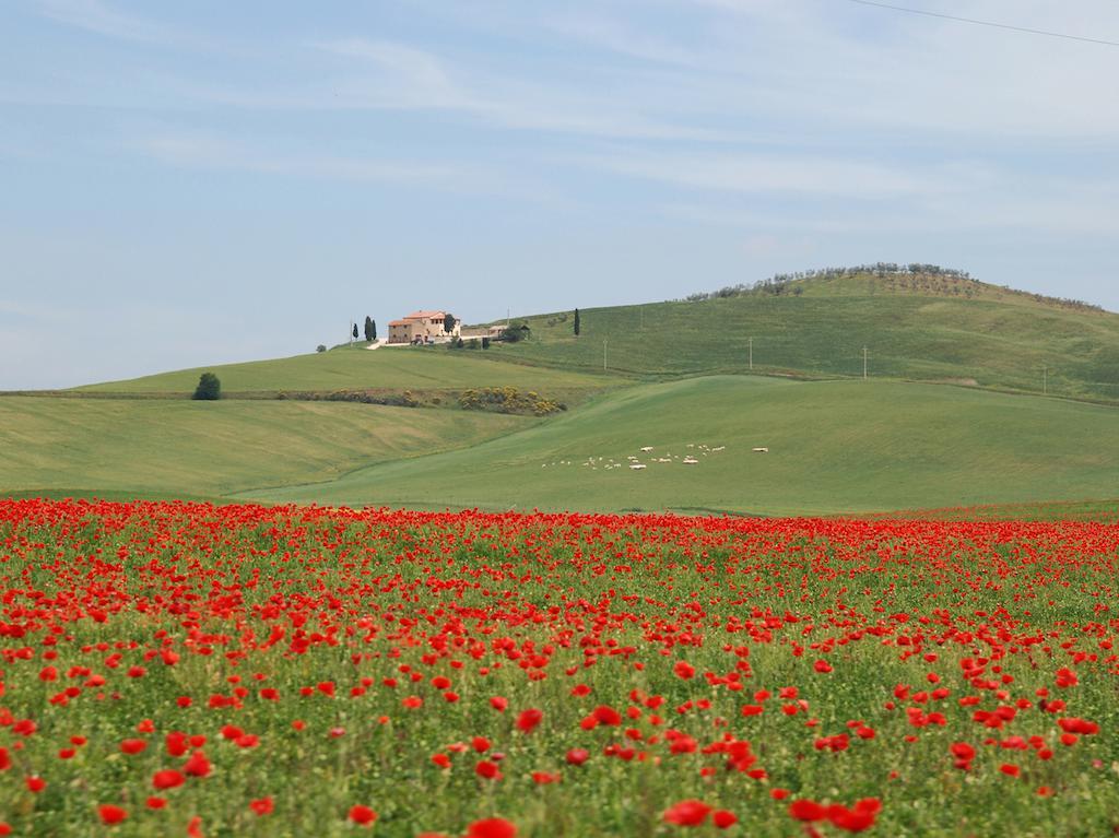 Agriturismo Poggio Tobruk Pienza Eksteriør billede