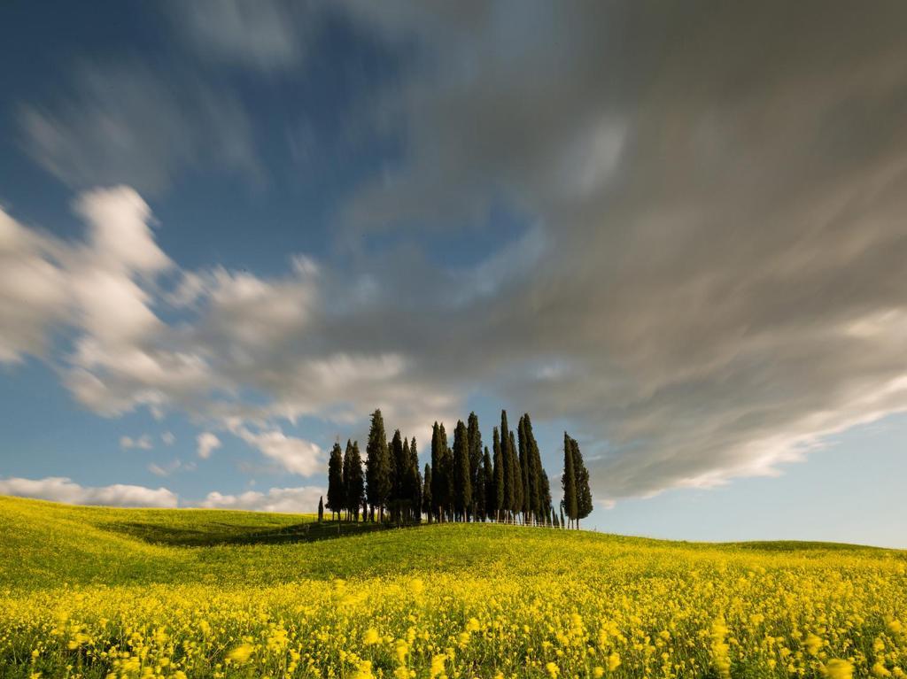 Agriturismo Poggio Tobruk Pienza Eksteriør billede
