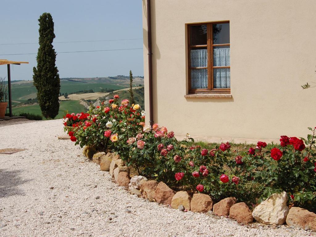 Agriturismo Poggio Tobruk Pienza Eksteriør billede
